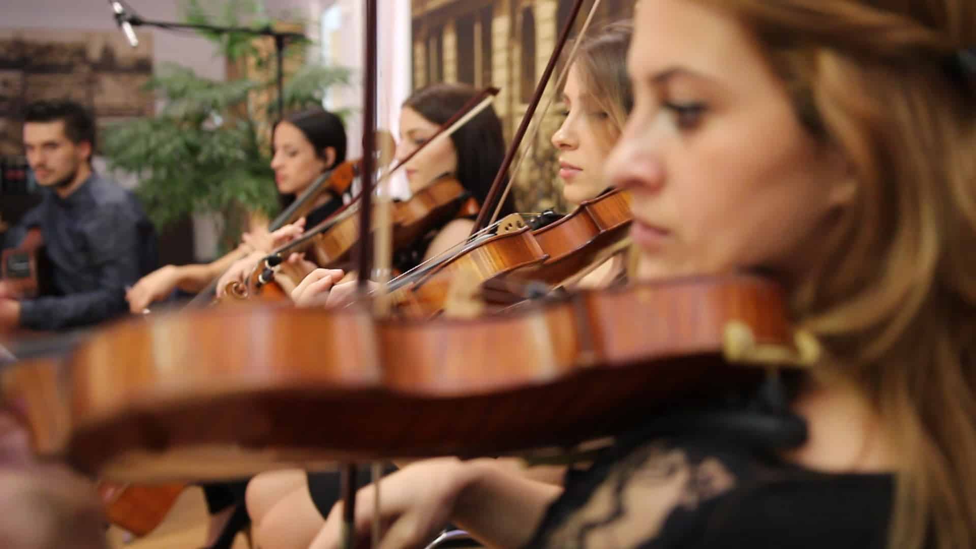 deal with dock cruise Cursuri de vioara pentru copii - Scoala de Muzica Bravissimo Art School  Bucuresti